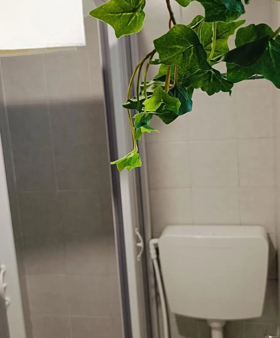Little Green House 로마 펜션
